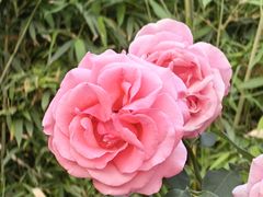 -下沉广场(羊坊店街道)