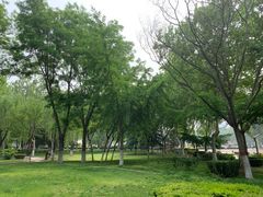-裕华世纪公园
