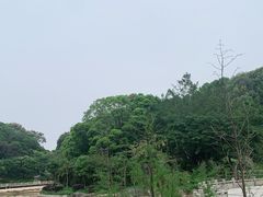 -广州市帽峰山景区