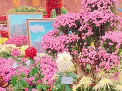 -西北湖绿化广场