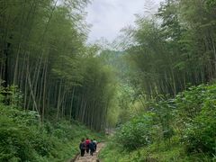 -五泄景区