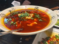 -陈麻婆豆腐(旗舰店)