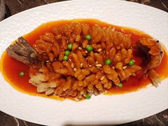 -大潮淮·淮扬菜(何园旗舰店)