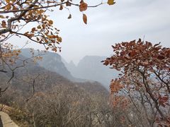 -周口店坡峰岭风景区