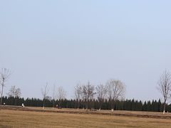 -汉长安城未央宫国家考古遗址公园