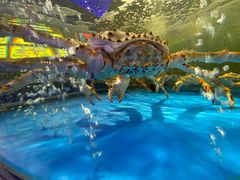 -蟹之国·精品蟹料理(极地店)