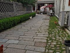 -春风习习
