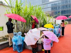 -硅谷蒙学幼儿园