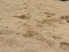 -潍坊欢乐海沙滩景区