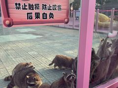 -渔岛海洋度假区