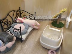 -上海尚嘉中心