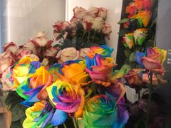 -Blueglass酸奶(财富购物中心店)