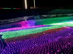 -巨鹏飞梦幻海岸
