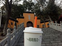 初雪抹绿·琉璃净-鸡鸣赐茶(鸡鸣寺路店)