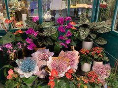 -BOBLOOM花店(宝龙旭辉广场店)
