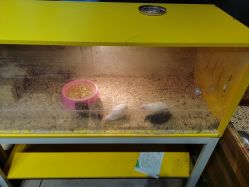 -酷嗒动物文化乐园(cutezoo西溪乐天城店)