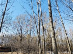 -亲兄弟真人CS团建拓展基地