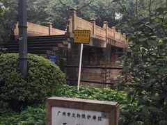 -晓港公园