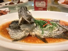 -骏莱海鲜鱼港(五角场店)