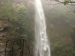 -天门沟九州驿站树上汤泉