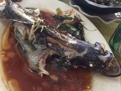 清蒸青斑鱼-鑫悦楼煎蟹·16年海鲜大排档
