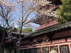 -寒山寺