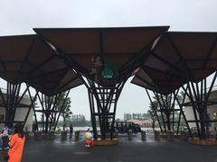 -上海长兴岛郊野公园