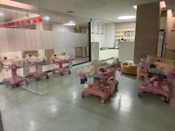 -宝生月子中心·独栋独院式(南山店)