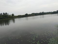 -东郊湿地公园