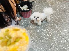 -笔记安顺夺夺粉火锅(龙湾万达店)