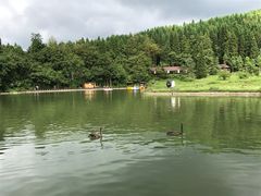 -武陵山森林公园