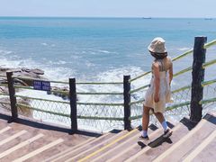 -广东惠东海龟国家级自然保护区
