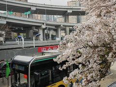 -南浦大桥长途旅游客运站