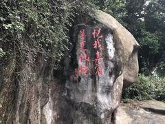 -厦门悦华酒店