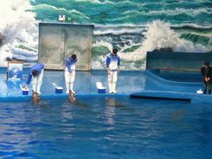 -多彩贵州城极地海洋世界