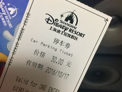-迪士尼乐园停车场