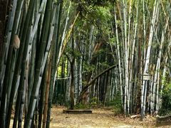 -林丰温泉度假山庄