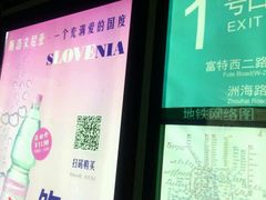 -外高桥保税区南(地铁站)