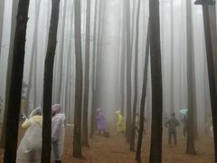 -山王坪喀斯特国家生态公园
