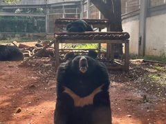 -昆明动物园