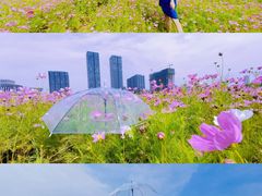 -映月湖中央公园