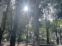 -火炉山森林公园
