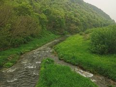 -兰亭风景区