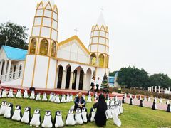 -松山湖南湖湾露营营地