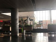 -野马渡文体中心游泳·健身