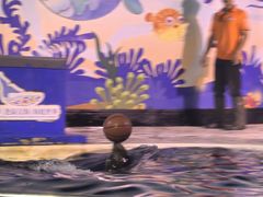 -太平洋海底世界