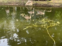 -沈阳鸟岛