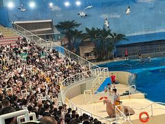 -泉城欧乐堡海洋极地世界