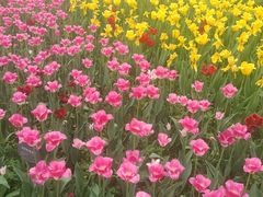 -北京植物园南门售票处