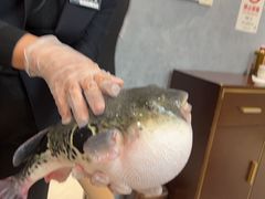 -鲐赏河豚(长寿店)